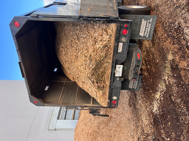Wood Chips For Sale